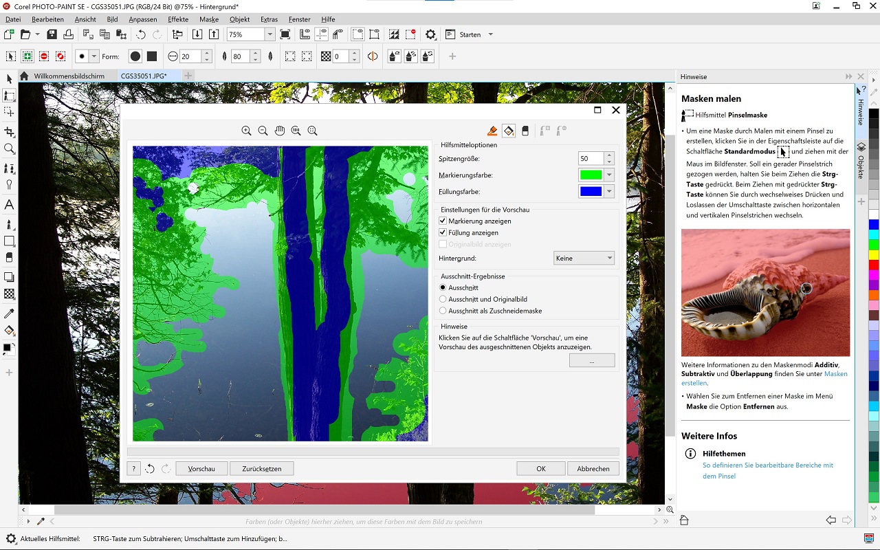 CorelDRAW Graphics Suite 2020 Special Edition