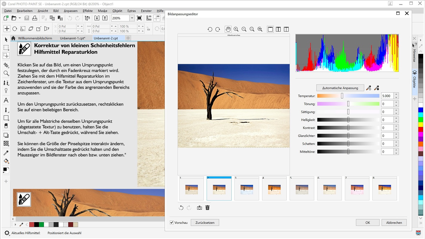 CorelDRAW Graphics Suite 2020 Special Edition