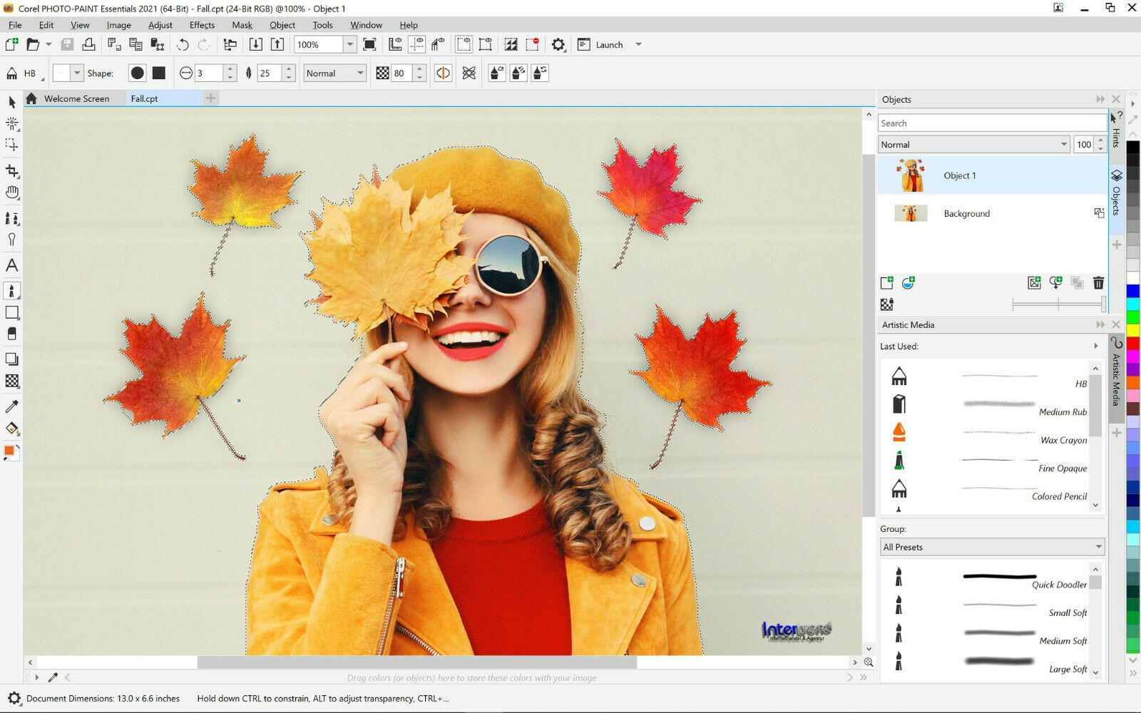 CorelDRAW Essentials 2021